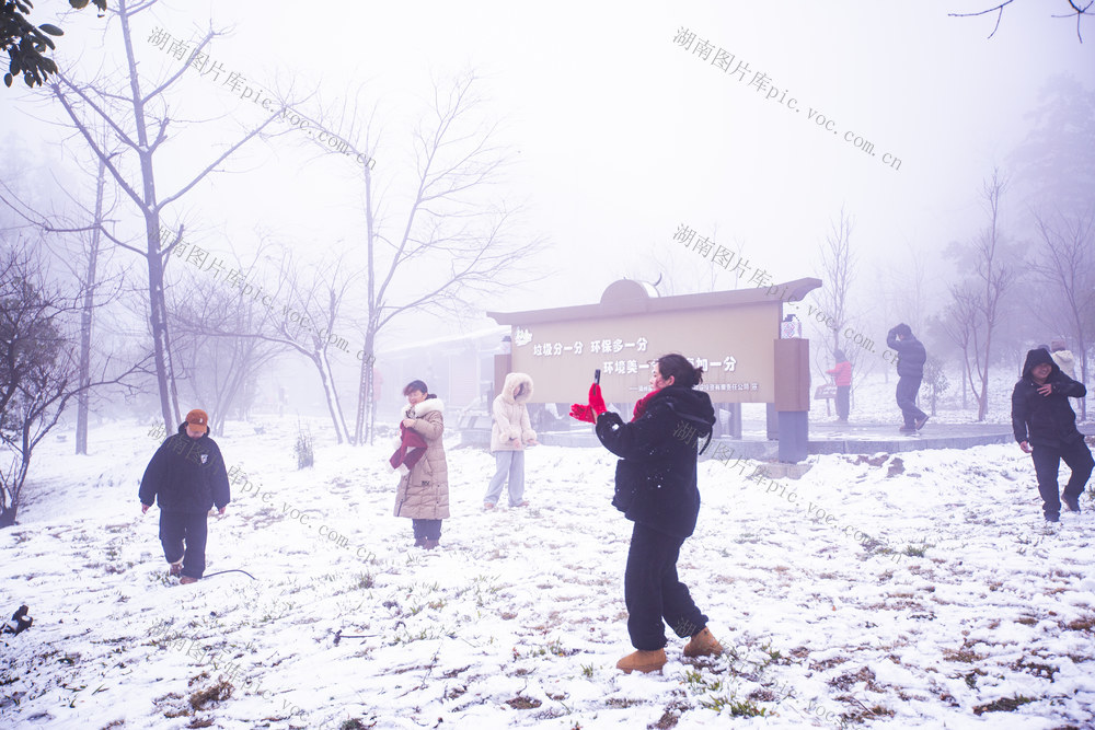 雪景 靖州 旅游 直播 瑞雪