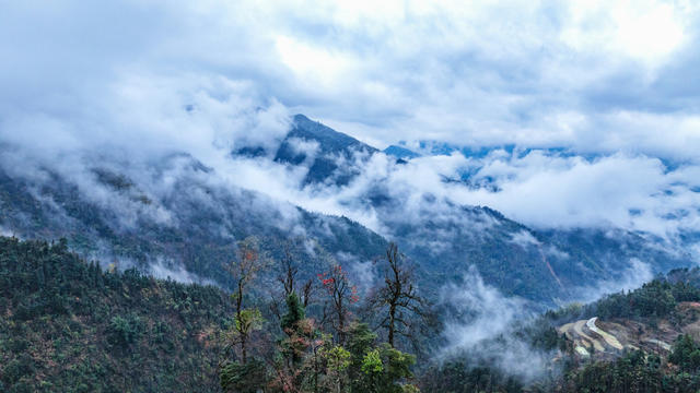 雨雪  自然保护区  童话世界  