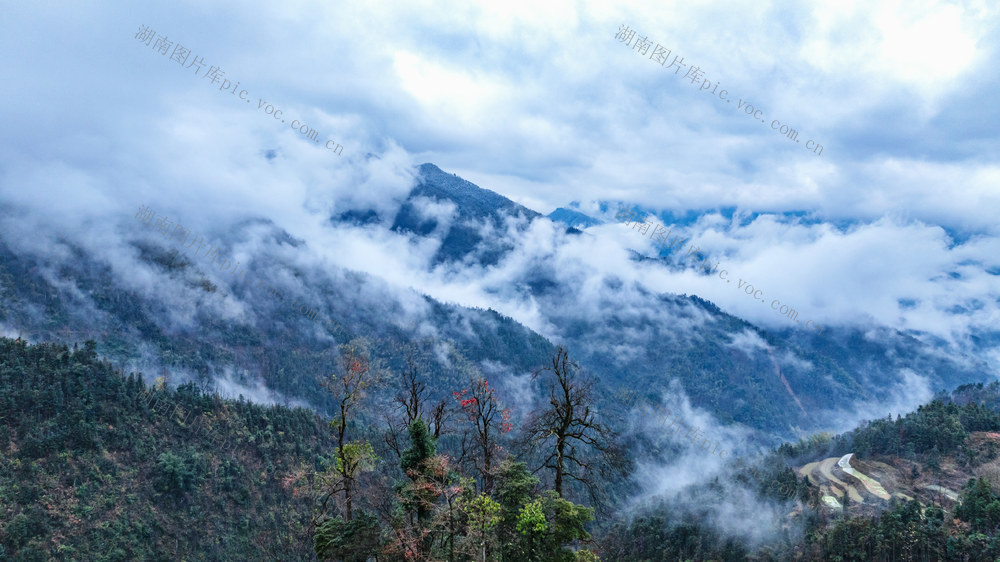 雨雪  自然保护区  童话世界  