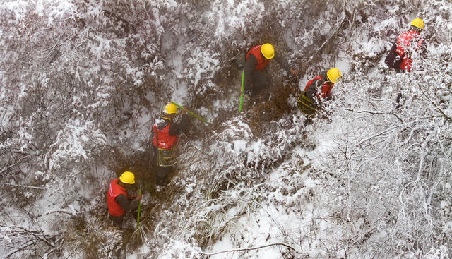 国网 电力 电网 雨雪冰冻天气