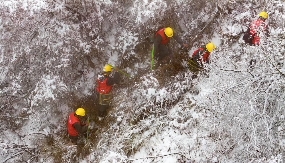 国网 电力 电网 雨雪冰冻天气