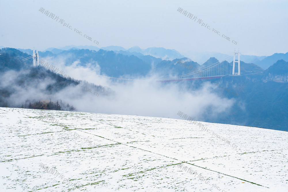2025年第一场初具规模的雪（前两天零星飘了点）  白雪映衬远处云雾缭绕的矮寨大桥  人们喜悦
