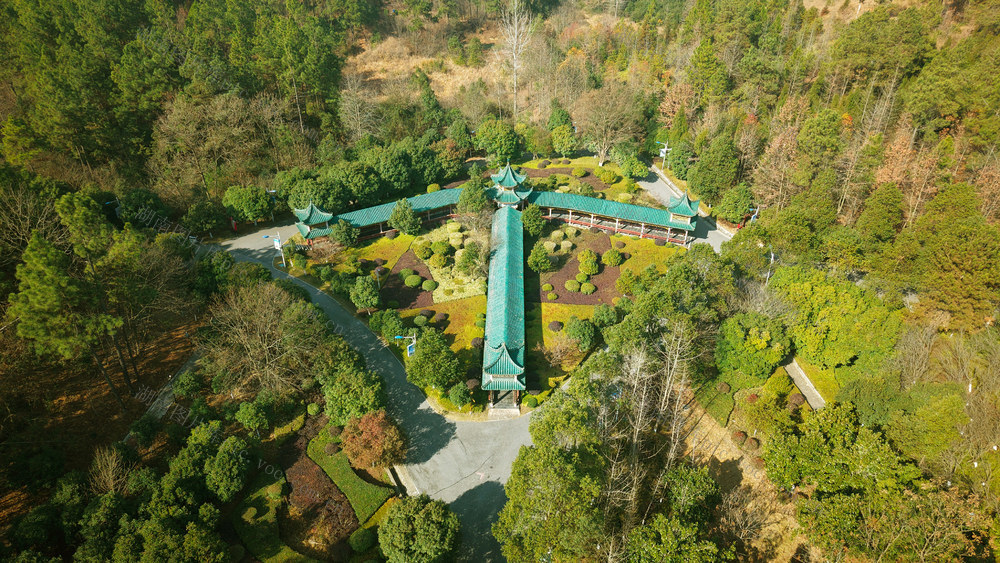 公园  冬日  景色  美如画  休闲