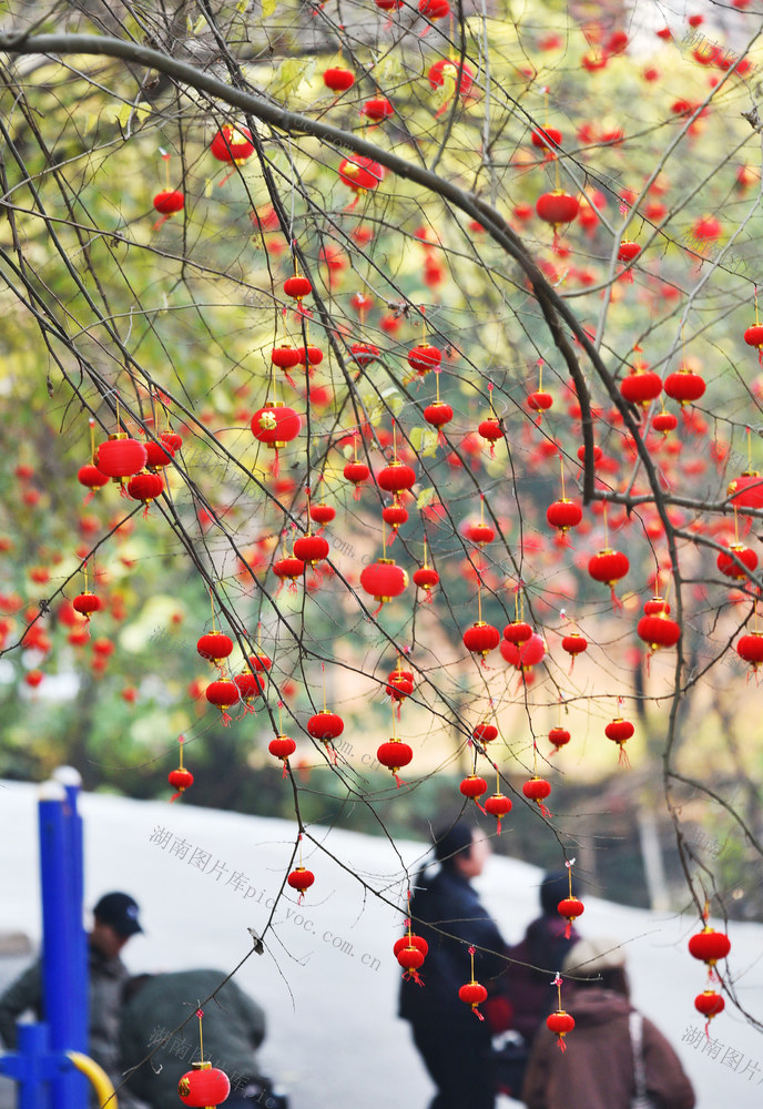 嘉禾：装扮一新迎新春