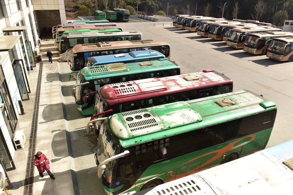 春运 交通出行  汽车 交通运输