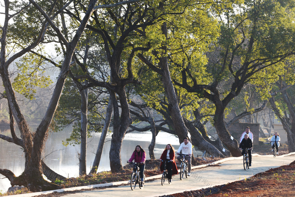 嘉禾：乡村游道骑行乐