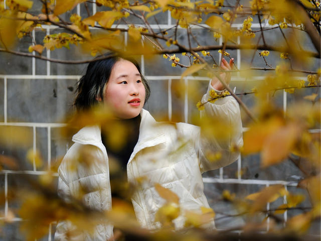 古开福寺，腊梅