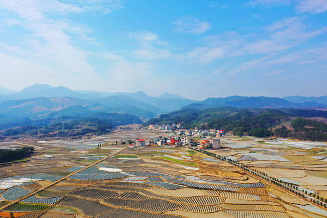 临武：产业兴  乡村美