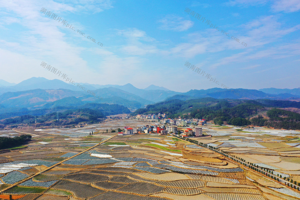 临武：产业兴  乡村美