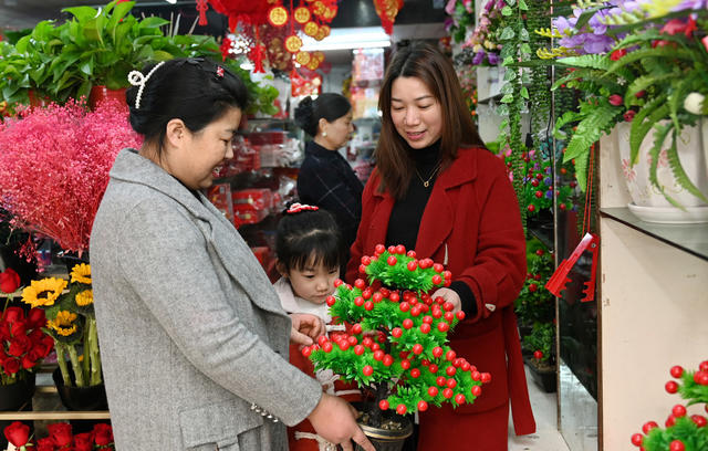 花卉  花卉市场  喜庆  春节  装扮居室   选购花卉  花店  年宵花 消费 市民 年货 商场