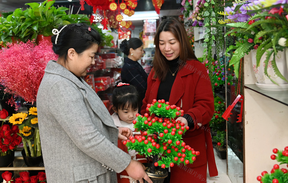 花卉  花卉市场  喜庆  春节  装扮居室   选购花卉  花店  年宵花 消费 市民 年货 商场