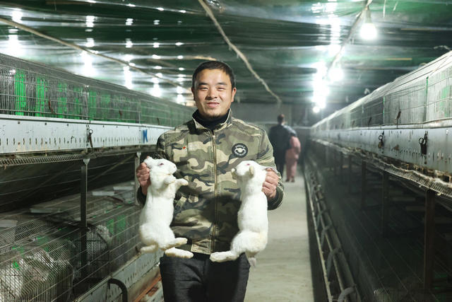 退伍军人 返乡创业 特色养殖 乡村振兴