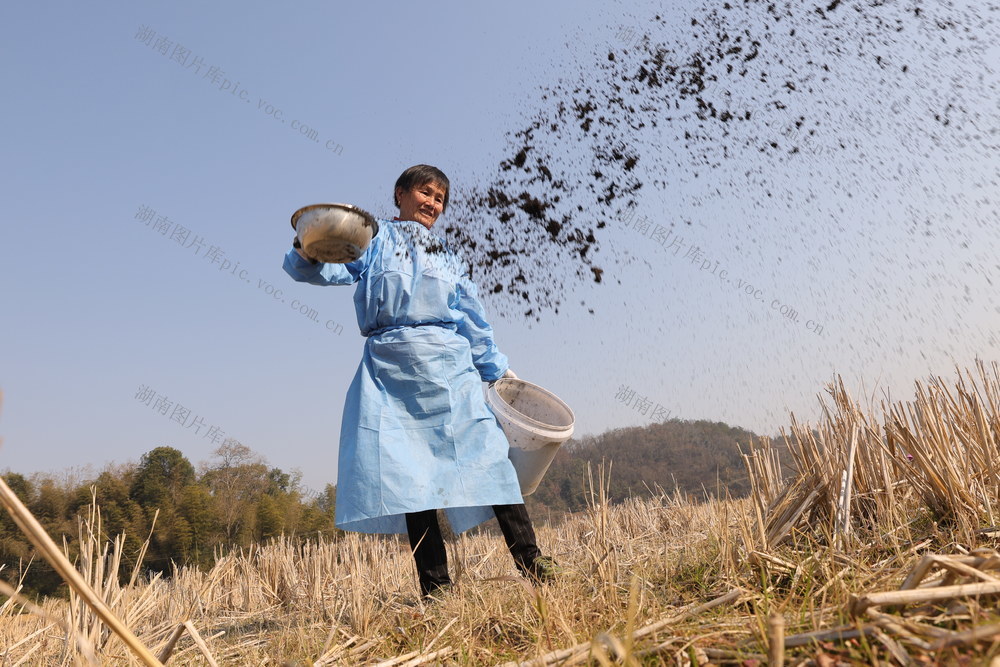 生态农业 有机农业 有机肥 冬忙 乡村振兴