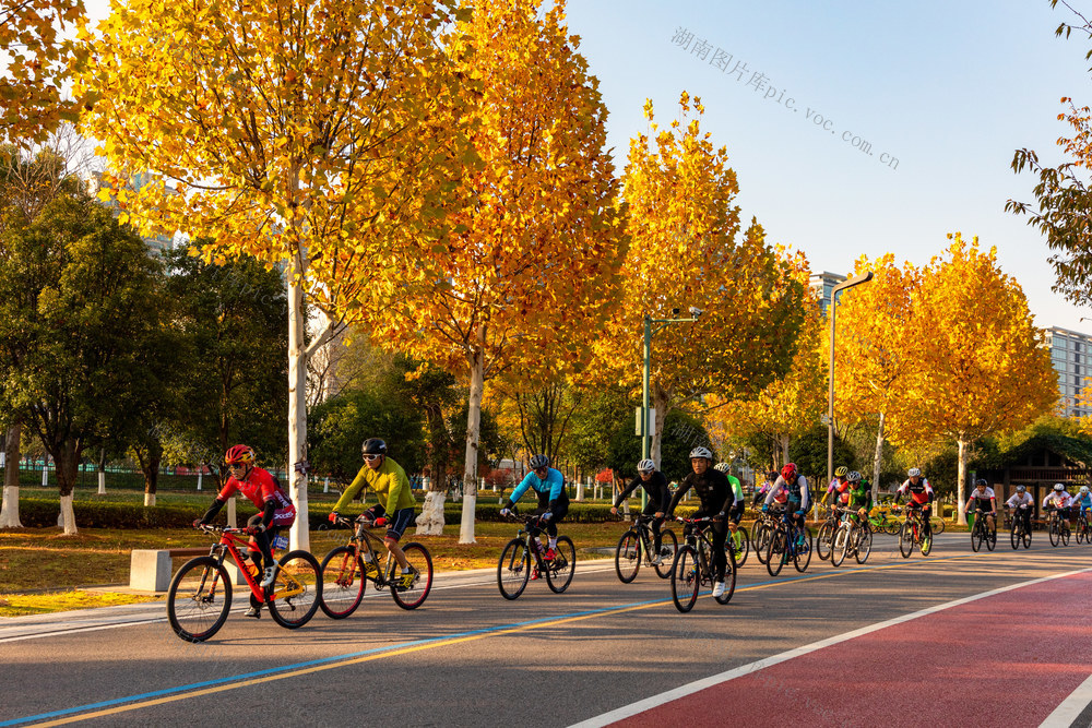 秋色、骑行
