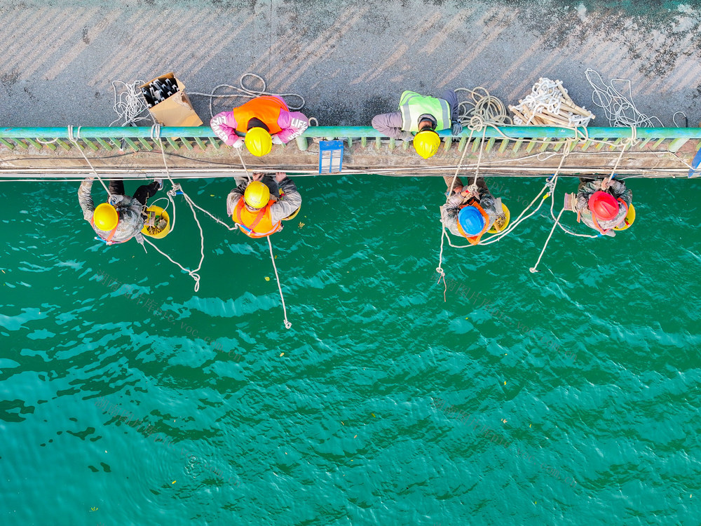 亮化
施工
新春
年味
道县