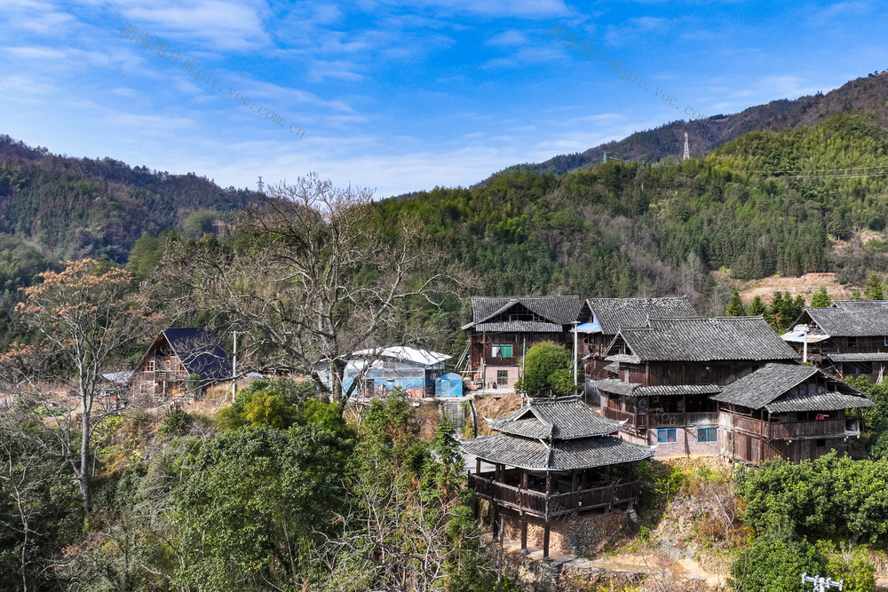 乡村 建筑 古寨 村 树