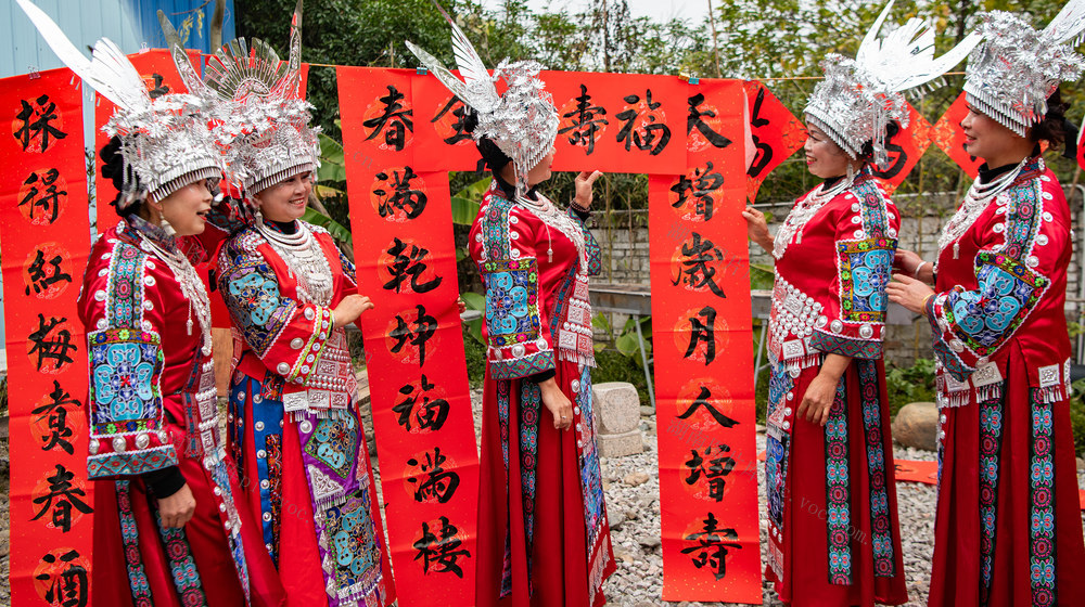 摄影协会  民俗  活动  迎新春  