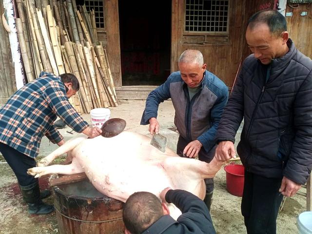 年味  宰杀 渐浓