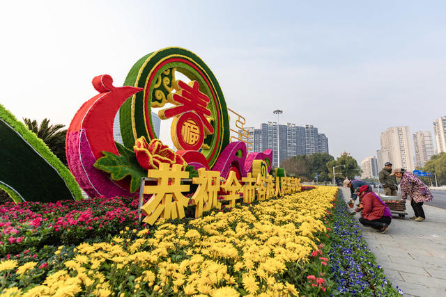 新春 年味 鲜花