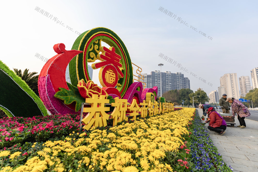 新春 年味 鲜花