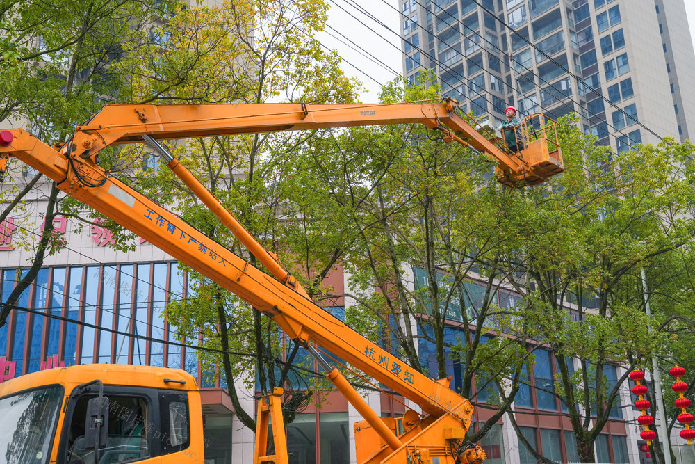 修理高空树枝  为电线疏理通道  保障春节期间供电安全