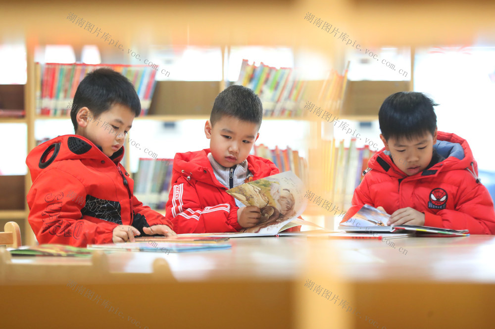 寒假 图书馆 阅读  书香