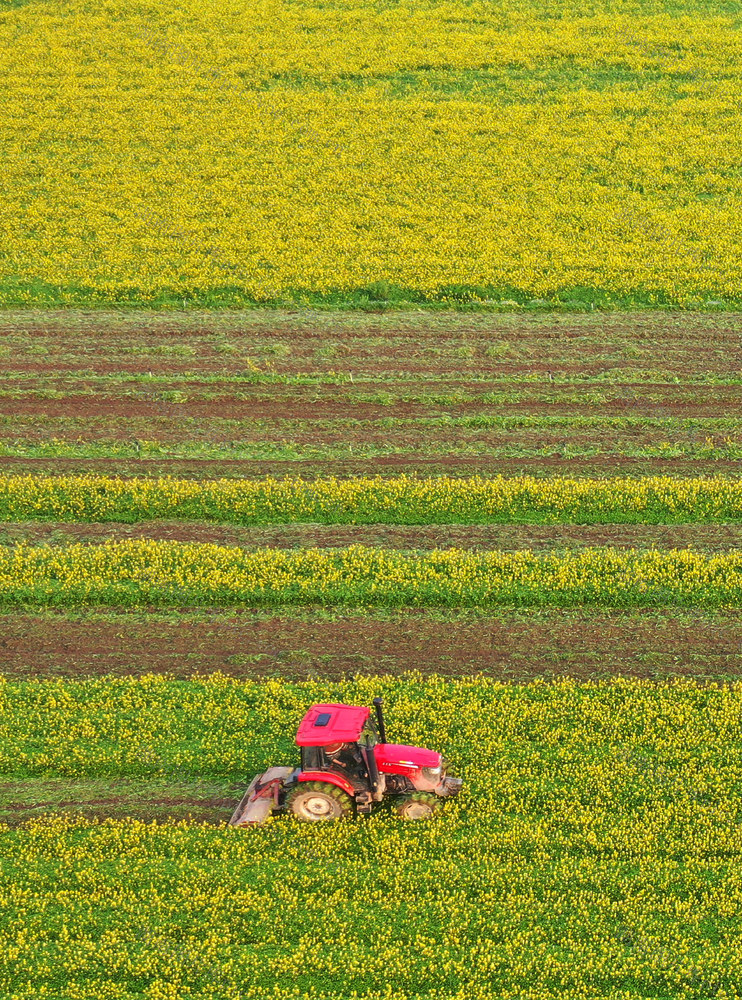 嘉禾：抢抓农时忙翻耕