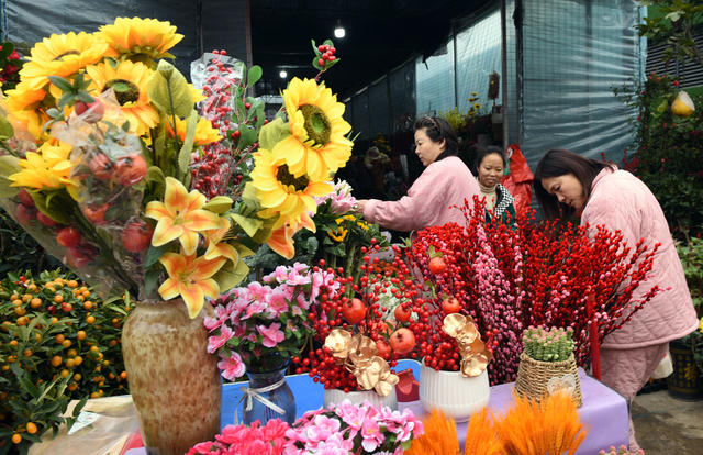 春节 花卉 市民 热销 家居 美化