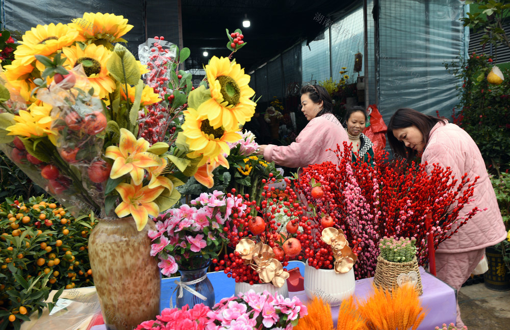 春节 花卉 市民 热销 家居 美化