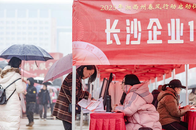 春风行动 求职者