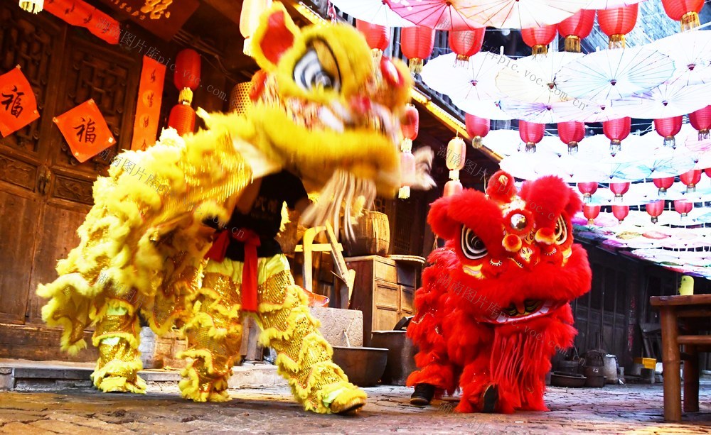    舞狮迎新春