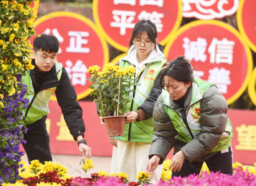 嘉禾 ：  志愿服务迎新春