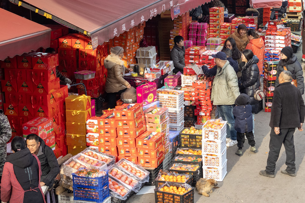 娄底,水果批发,产销,春节,节前