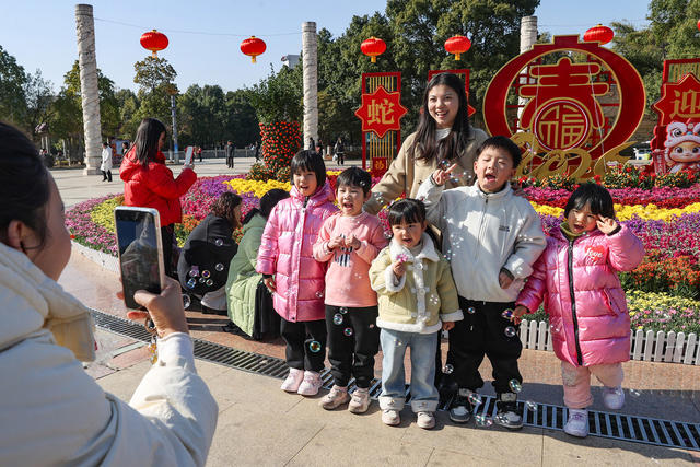 临武县——花团锦簇迎新年
