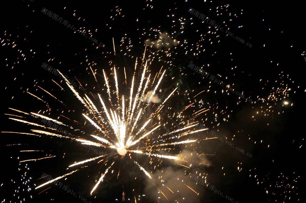 蛇年  礼花 庆祝 氛围