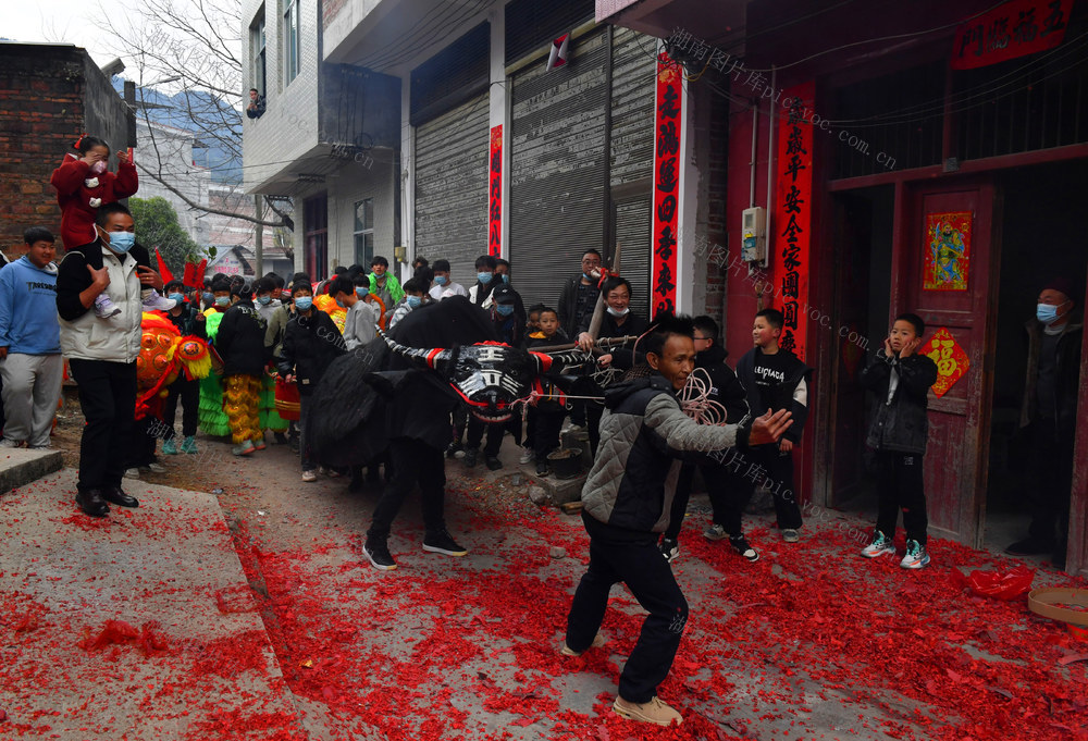   江永 瑶族 春牛   闹春