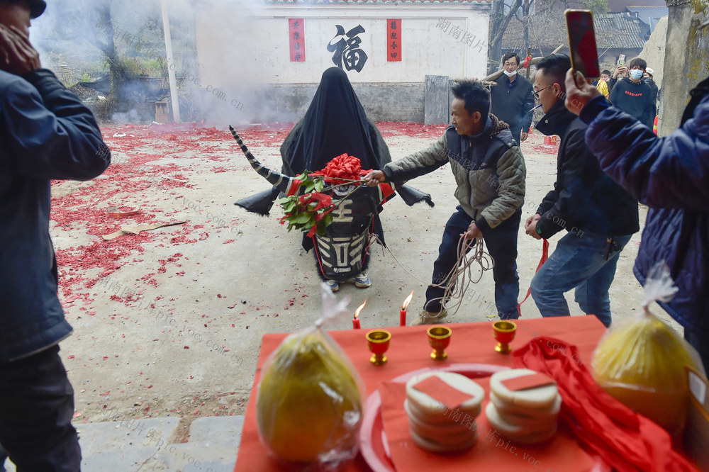 春节  民俗  耍春牛
