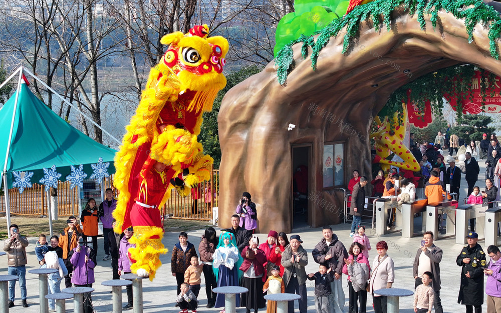 大年 初一 非遗 舞狮 庙会 过年
