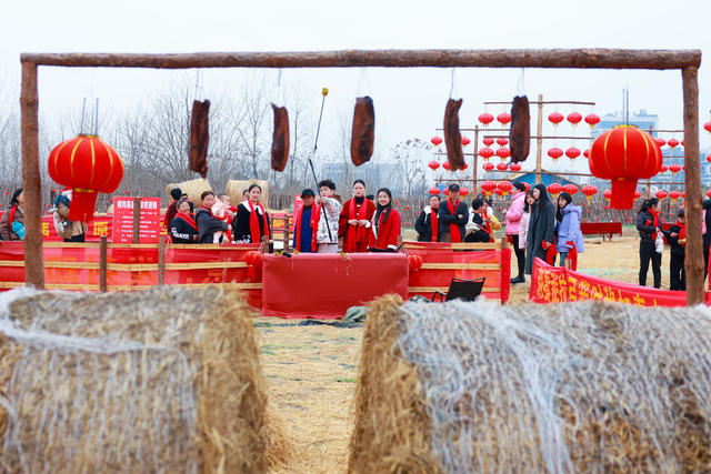 正月初二 *喜庆景象 *欢度新春*热热闹闹庆佳节