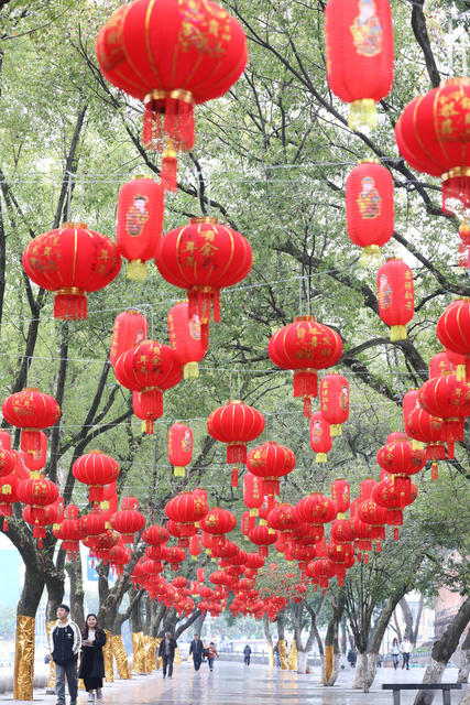 欢喜 春节