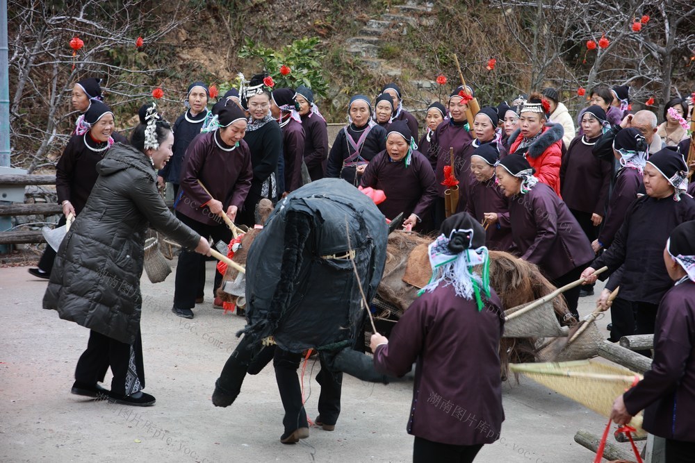 闹春牛 民俗 新春 非遗 芦笙