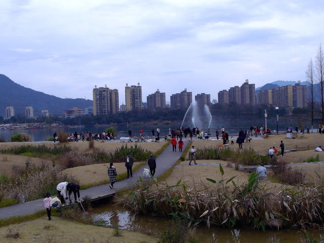投稿