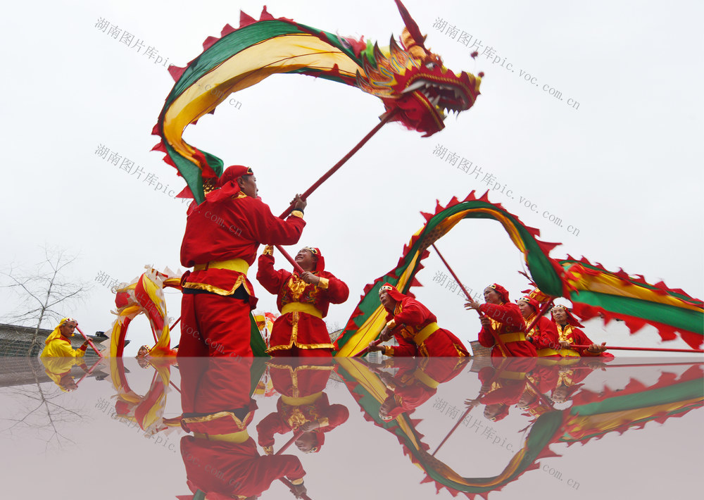 嘉禾：舞龙巡游闹新春