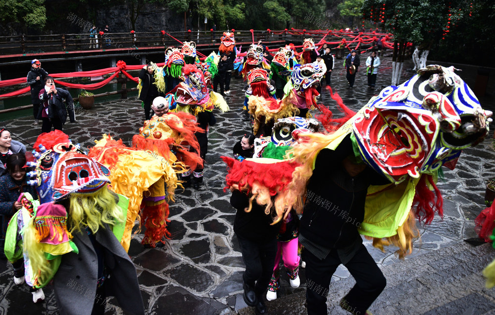 百狮会 民俗 舞狮 群众 游客 春节