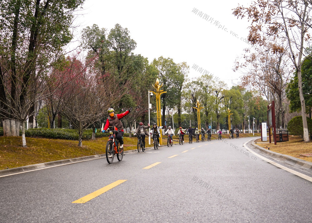 自行车  运动  公园  健身  春节  假期