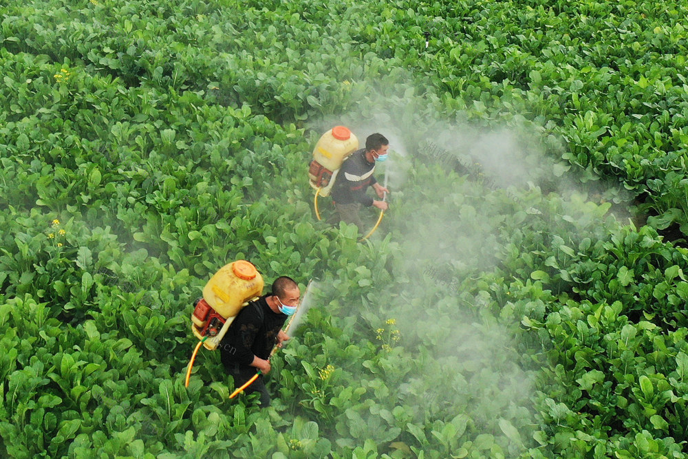 嘉禾：立春农事忙