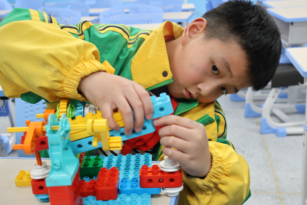 土家族 湘西 小学 学生 土家族积木 社团 多样化 需求 能力 创新 放飞 科技 梦想