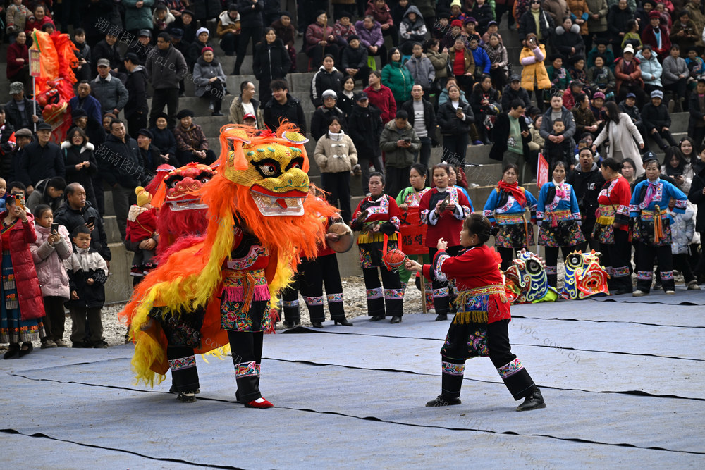 春节 文化活动 民俗 表演