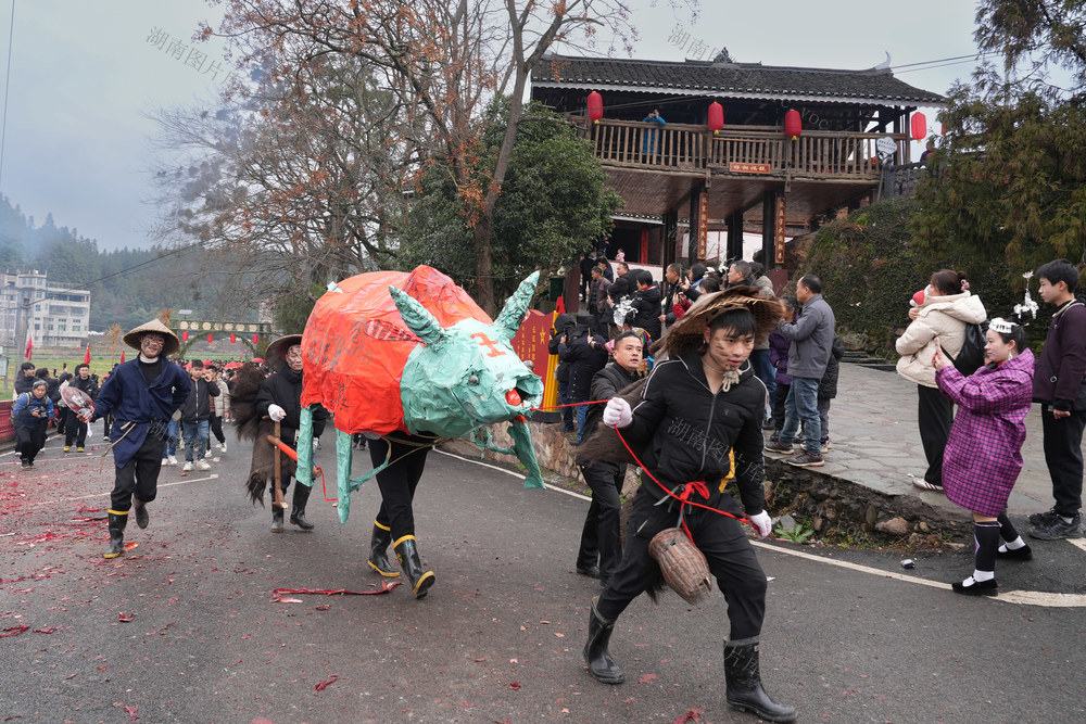 立春  闹春牛 春耕
