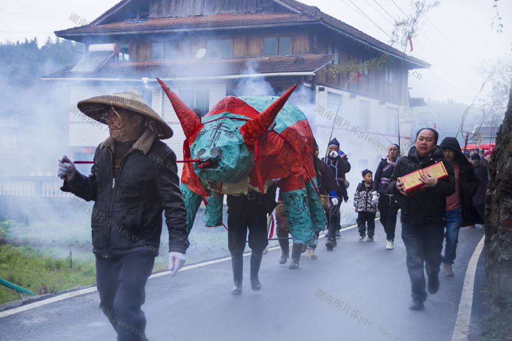 通道 侗族 村民 耍“春牛” 闹 新春